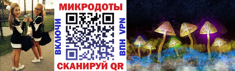 Галлюциногенные грибы MAGIC MUSHROOMS  Гатчина 